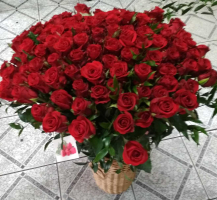 Zdjęcie od Krystian